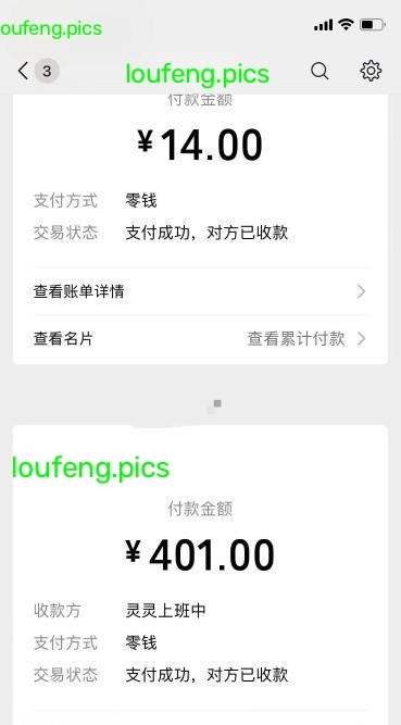江南西巨臀灵灵