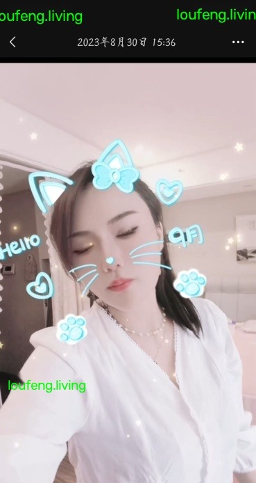 服务系小野猫