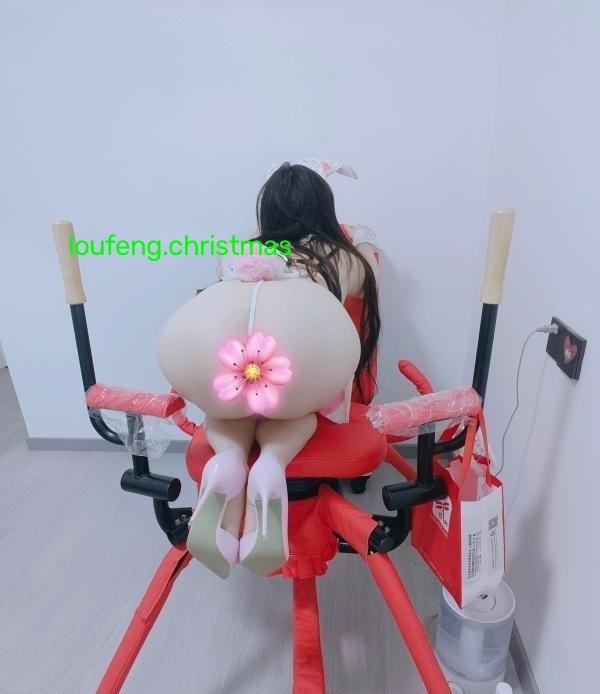 武汉奶兔