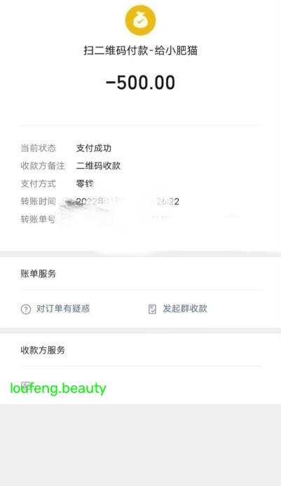 宝安大波小肥猫老师