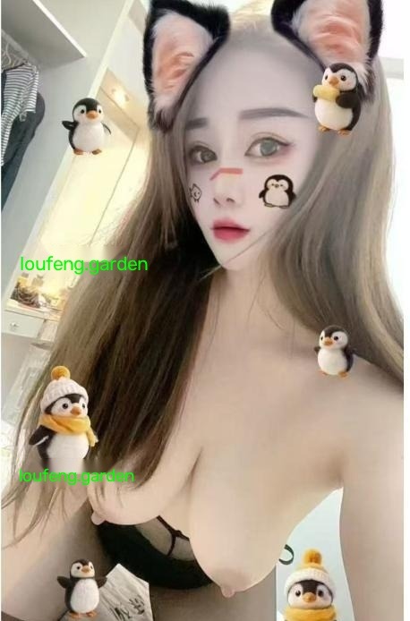 罗湖小蜜蜂